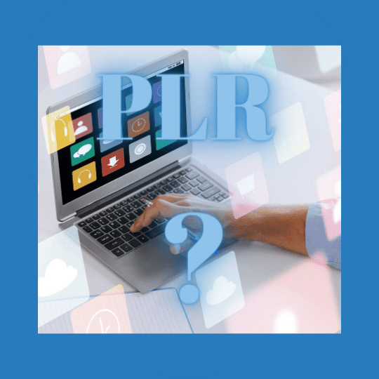 what-is-plr-anyway-plr-user-guide